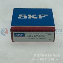 S-K-F ��350�ȸ������ 6004-2Z/VA208 ���澭�������̴���