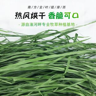 �º��С���ݸɲ�������؈���ݺ��m�i������Ӳ���1��