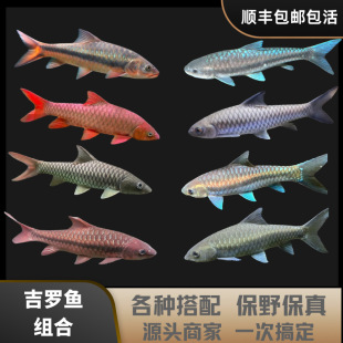 �{���_��ɽ�{���_�Y�~�t���_�~����Ұʷ���������M���S�tβ���_�~