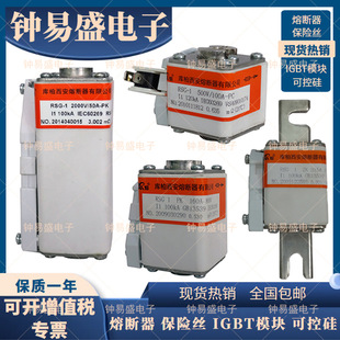 ������� RSG-2 1000V/40A 315A-PK �۔��� RSG-2 1000V/550A-PC