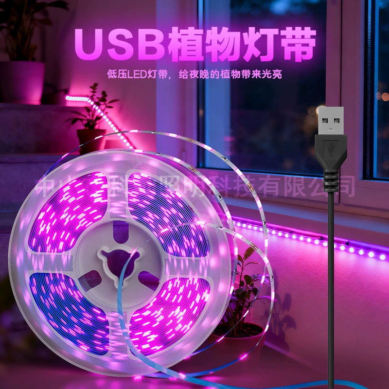 Трансграничный USB-интерфейс, тепличная лампа для роста овощей, фруктов и цветов, светодиодная лампа для суккулентов, дополнительный светильник для растений, бытовой сочный полный спектр