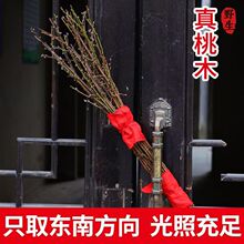 Ұ|ľIҘ֦Æwլ@͏dP[