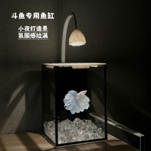 Specialized Glass Fish Tank for Bettas, Small Desktop Aquarium for Bettas, Mini Living Room Ornamental Ecological Tank