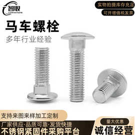 现货供应304不锈钢马车螺丝GB12圆头方颈小头马车螺栓M6M8M10M12