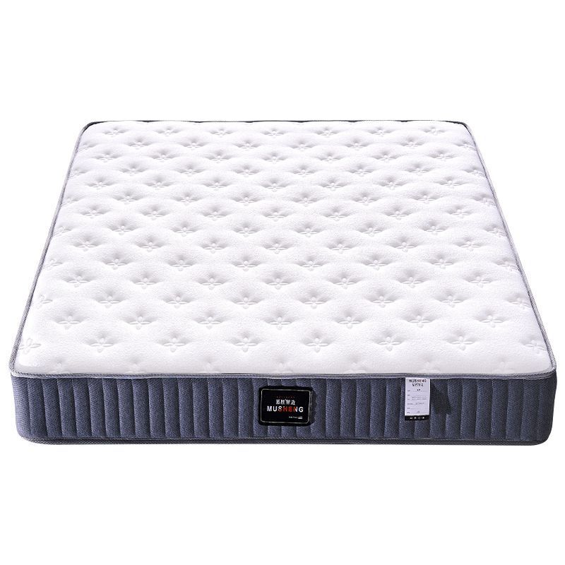 Musheng Latex Mattress Spine Protector 1.8m Pure Natural Latex Home Double Upholstered Dormitory Single Coconut Palm Mattress