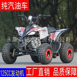 两轮摩托车;其他电动车;电动摩托车