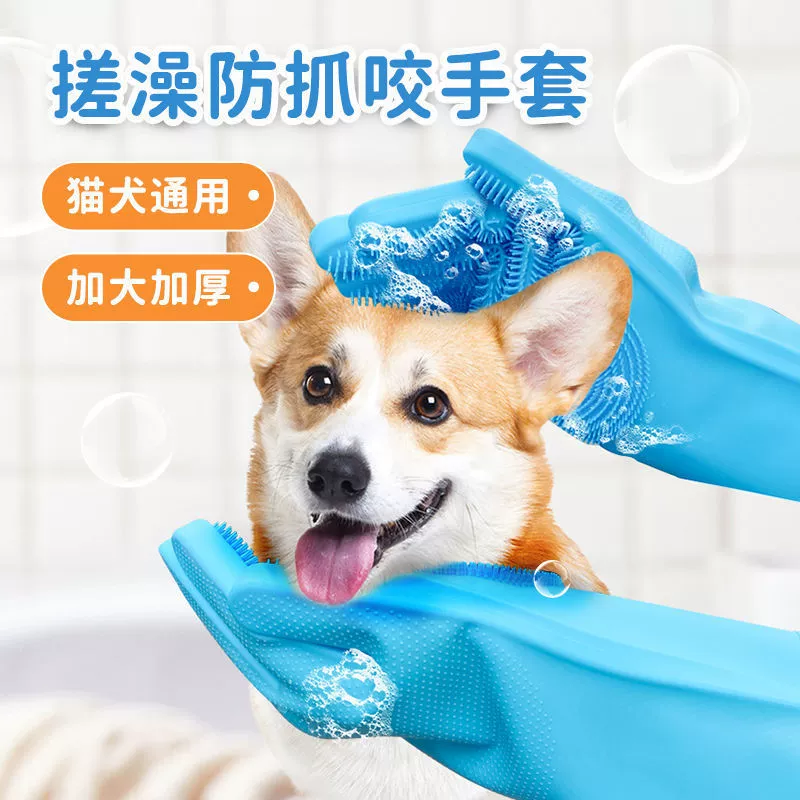 Домашние животные купают перчатки против укуса Собаки купают кошек
