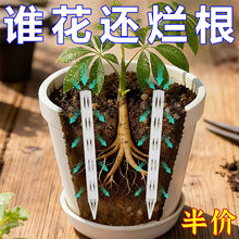 盆土通风管透气管透气管通风管盆土透气花盆底部加长土花卉施肥管