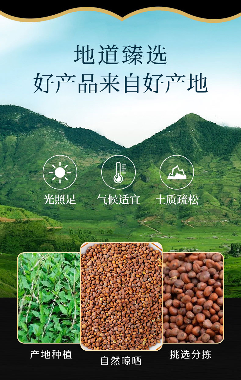 Lai Fu Zi (Semen Raphani) — Dried Radish Seed, Food Herb for Tea & Soup overview