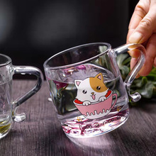 新款卡通可爱猫咪玻璃杯 猫爪肉垫设计底透明玻璃情侣水杯批发