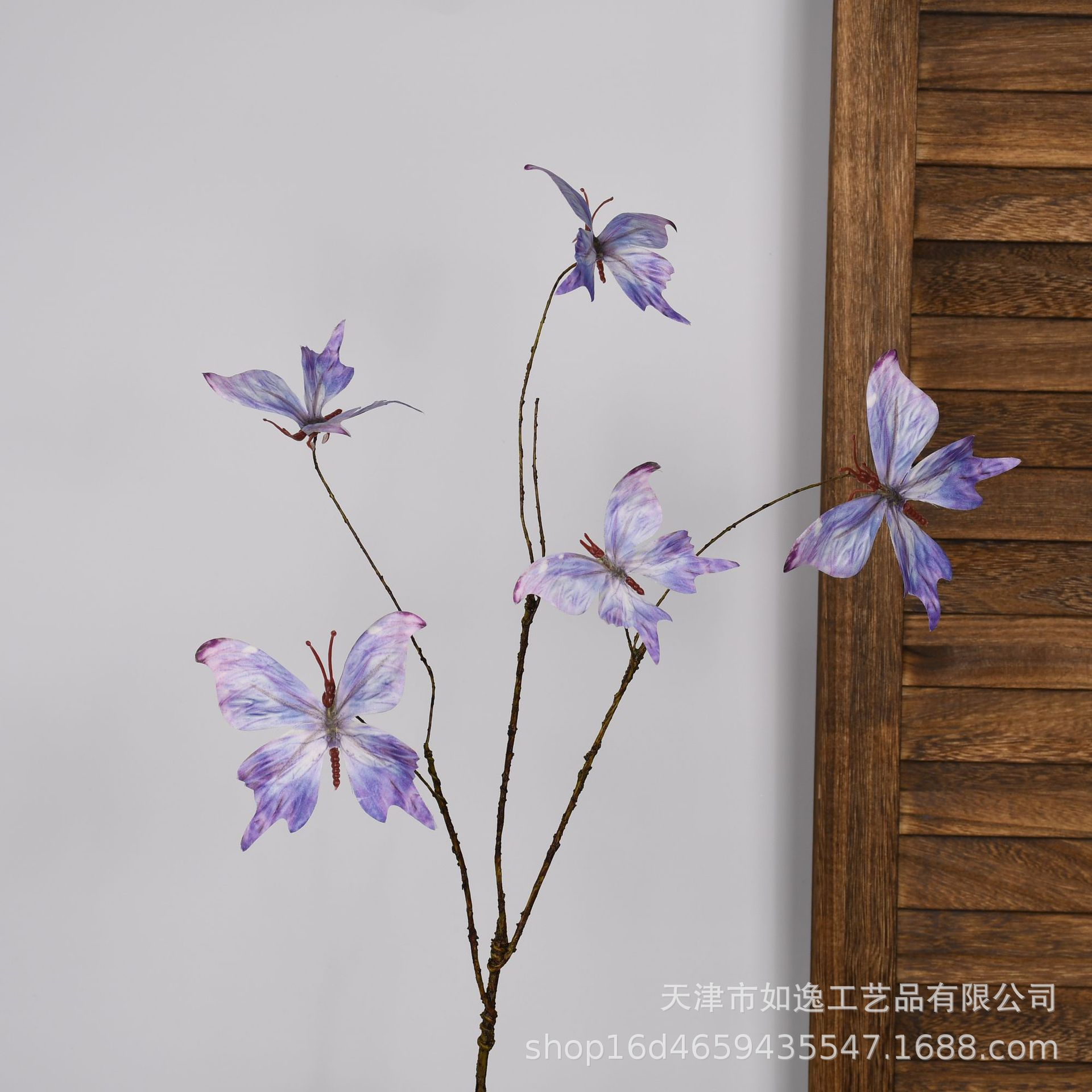 101-호랑나비-5머리