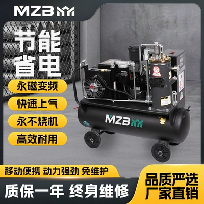 Permanent Magnet Variable Frequency Screw Machine Sandblasting Real Stone Paint Latex Paint Small Mobile 220V Energy-Saving Export Air Compressor