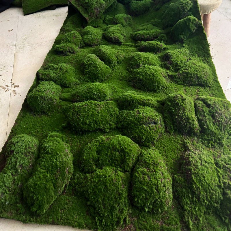 Breaded moss per square meter price