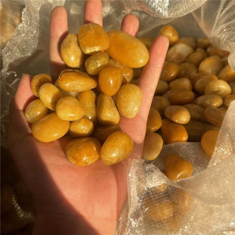 微信图片_202210271711366