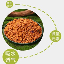 �t�mʯ������w���t���m��ֲ�ϻ�ʯ����|�׻��ܠI�B�������ͨ��