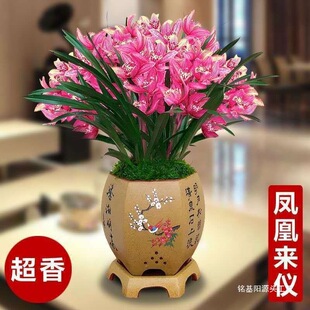 ���ذl؛�����B������m�������Ԏ��������mī�m�������҃��m��