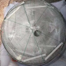 �ۯB�~�W�O�W�r�\���~�\�S�X�\���r�W���r4��33�����Ԅ����qץ�~