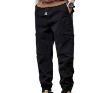 (Cross-border trading), elastic demi-season travel trousers for leisure, with embroidery, loose fit
