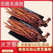 长白山鹿角灵芝草 野生泡酒泡水灵芝草东北特产整枝林芝 食药用菌