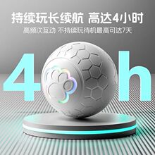 狗狗玩具跳球逗狗球神器解闷逗狗电动耐磨防拆家宠物自动遛狗球