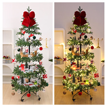 �¿�PE�}�Q����̨�[�� �}�Q���Ƶ��̈��b�210CM�}�Q���ռ{̨�[�O