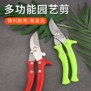 �@ˇ���߼����P䓈@����֦�������@���@�֘�֦�辰