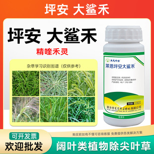 �R��ƺ�������̴󚢺̳��݄��R������~���������R��ţ��ݵ��s��