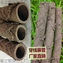 ���ٴ����ܿ��Ĺܑ��Ᵽ�o��|늾��������b����o�׹�