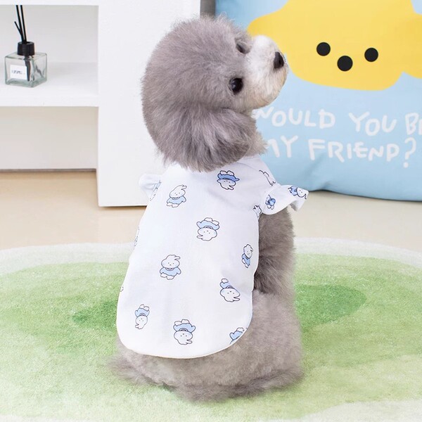 Summer clothes for puppies