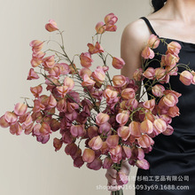 ¿\͏dc·bՔzӰ߻Sl