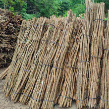 ���l�����ɘ�֦��֦ľ�҃��b�ľ�Ļh���b��ٗl�^���������Sţľ