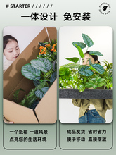 �Gֲ�쾰���^�҃����P�̨�����b��÷����٘�����ֲ���쾰