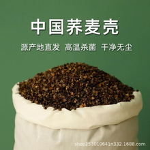 �ؼ���ϴ�w����10��ɢ�b�w��Ƥ���^�����ߜؚ������˃�ͯ��о��