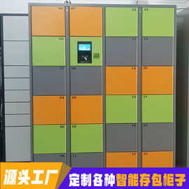 工厂车间人脸识别鞋柜指纹刷卡密码二维码更衣柜电子储物储物柜