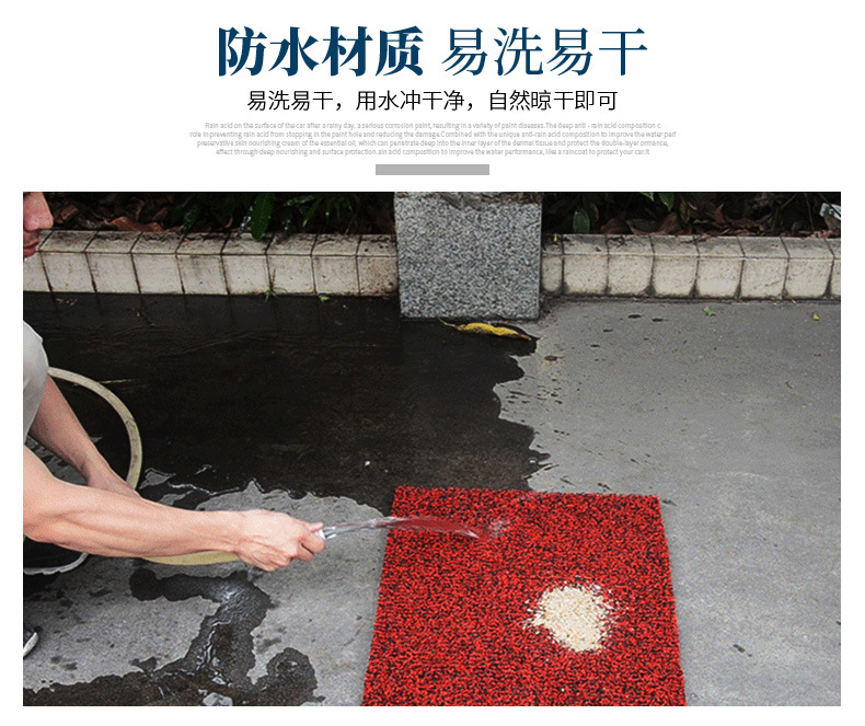 Applicable to No. 9 Orion Dz110p wire ring foot mat No. 9 electric vehicle D130P/D150P special anti-slip mat