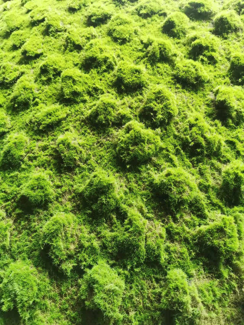 QQ图片20211109092004_副本