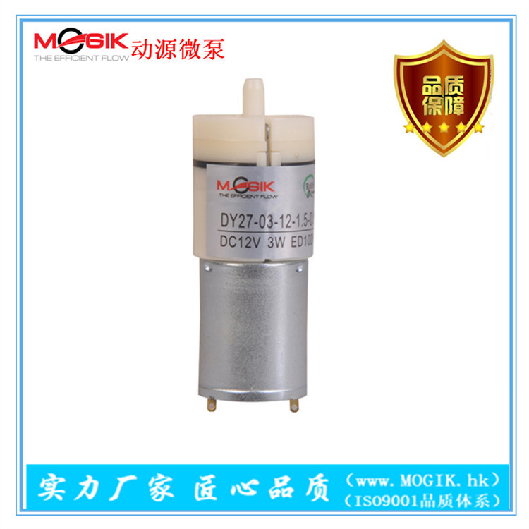 微型气泵 直流12V真空泵 泡沫机气体冲气泵DYR27-03 厂家直销现货