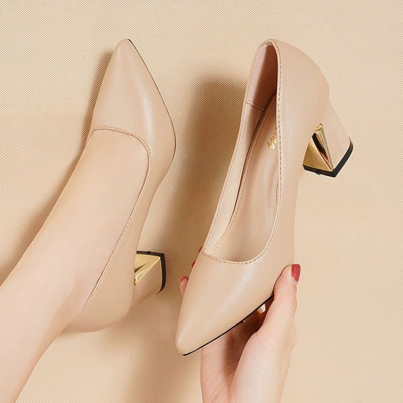 2025 Весна и осень Новые туфли на маленьком каблуке во французском стиле на массивном каблуке и высокие каблуки с острым носком для женщин с квадратной пряжкой, нишевым дизайном и элегантными одинарными туфлями.