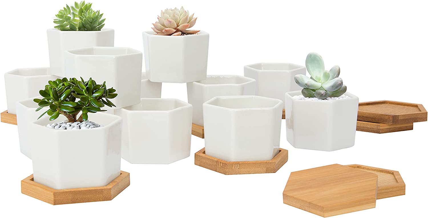 gG6djPKlxdQDTO1xECJMXX2SW22KLVvSIt0v