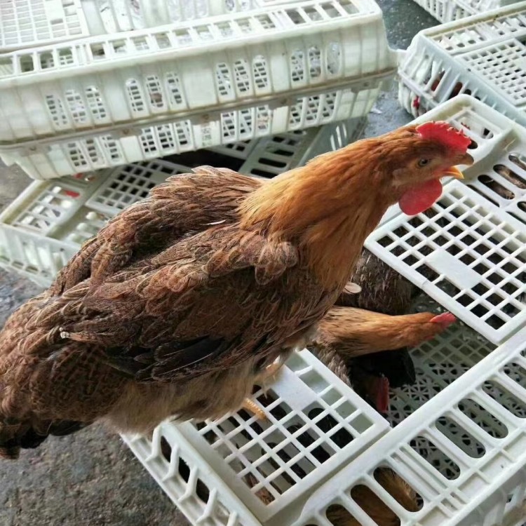 微信圖片_20230619153256