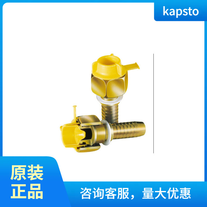 德国 KAPSTO GPN系列堵头 GPN 335 M 12 x 1,5 335 1215