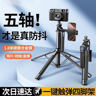 2025�¿����ėU������_���ֱֳ�������ݳ������C֧���Ĕz