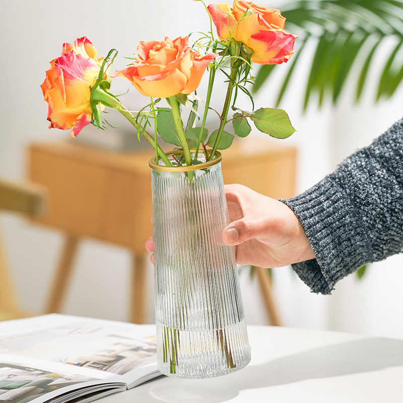 ヨーロッパ風クリエイティブガラス花瓶シンプルins風網紅水養生花緑植挿し花瓶食卓客間置物|undefined