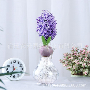 ��ɫ�L���ӷN��ˮ�����b�ļ�ˮ�B�����҃���������ֲ������ˮ��