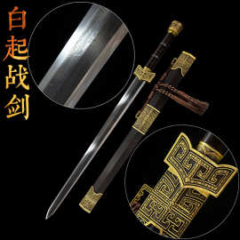白起战剑八面汉剑纯铜装具宝剑龙泉市锻打刀剑花纹钢长剑 未开刃