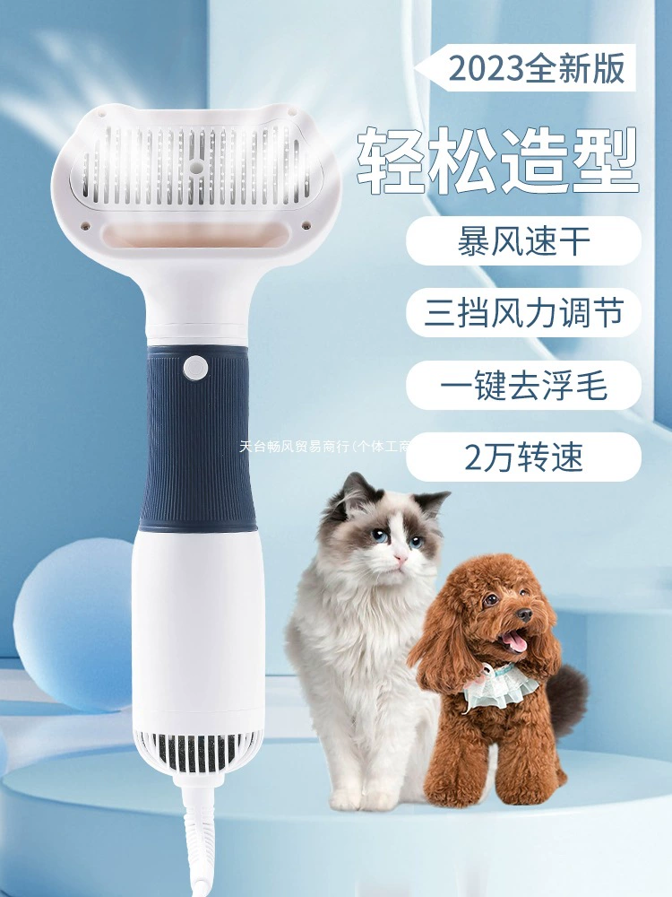 Кошка Тедди купается и сушит большие собаки