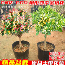 �ļ����y������ʳ��ș�����Ե����̨������_����