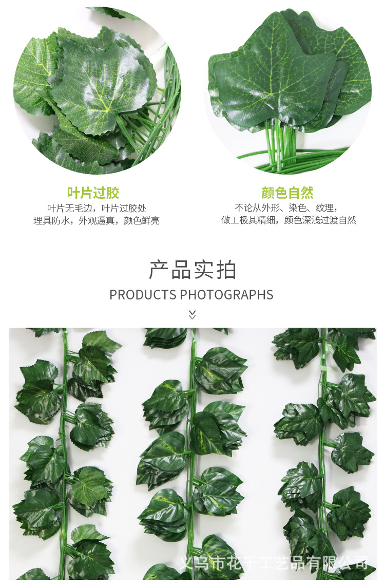 36叶藤条_12.jpg
