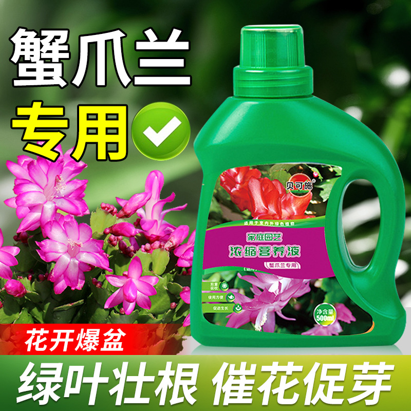 贝可施蟹爪兰植物营养液体肥花肥料水培发财树月季贝可施批发代发