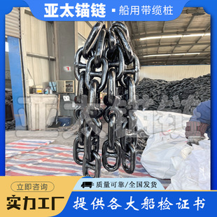 ��̫�^� �S�ҬF؛���������^��D�h�M���h�M�� �|���Î����z�C��